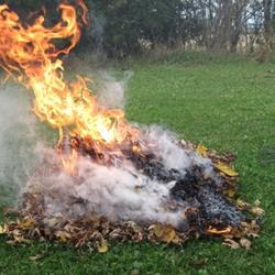 Open Burning Restricted in Anderson 